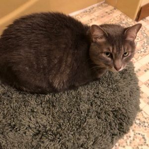 Meet your Posher, Jo